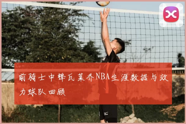 前骑士中锋瓦莱乔NBA生涯数据与效力球队回顾