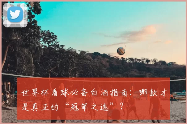 世界杯看球必备白酒指南:哪款才是真正的“冠军之选”?