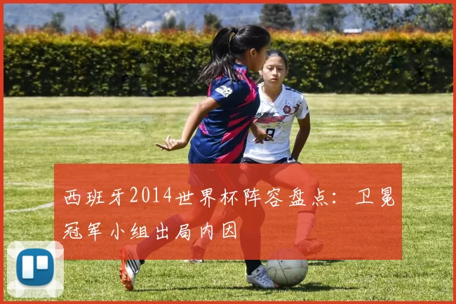 西班牙2014世界杯阵容盘点:卫冕冠军小组出局内因