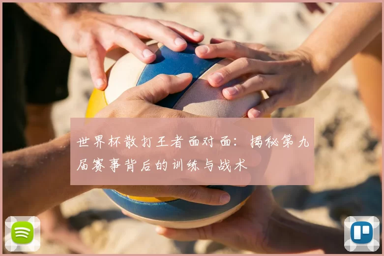 世界杯散打王者面对面：揭秘第九届赛事背后的训练与战术