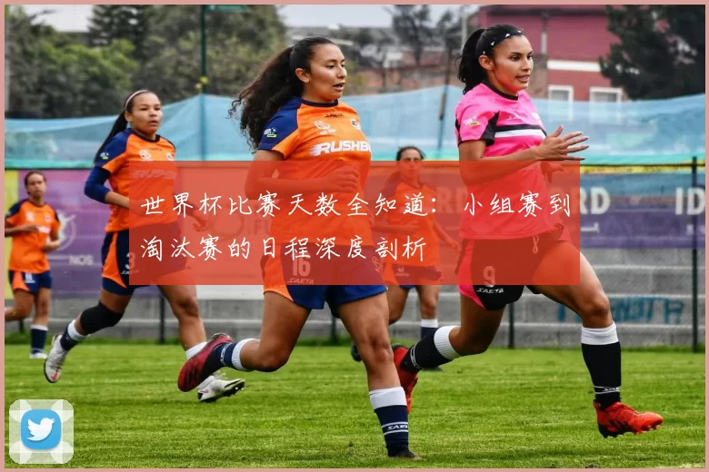 世界杯比赛天数全知道：小组赛到淘汰赛的日程深度剖析