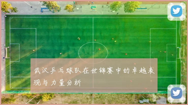 武汉乒乓球队在世锦赛中的卓越表现与力量分析