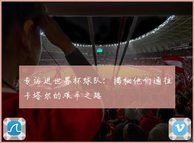 专访进世界杯球队：揭秘他们通往卡塔尔的艰辛之路