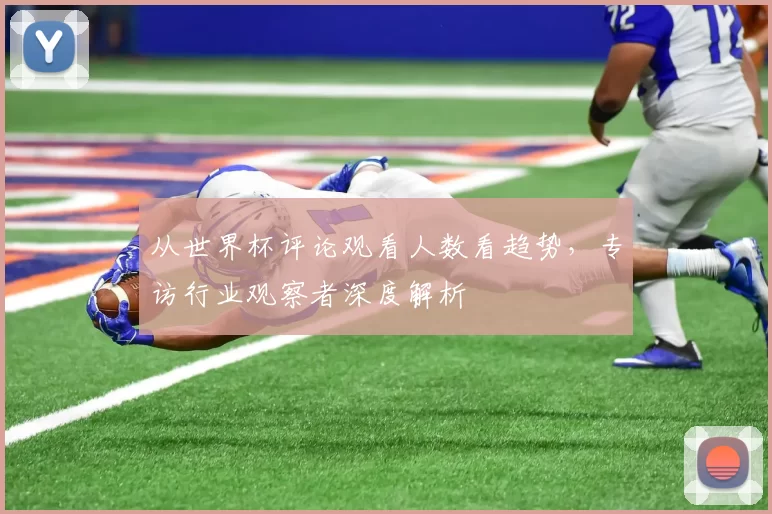 从世界杯评论观看人数看趋势，专访行业观察者深度解析