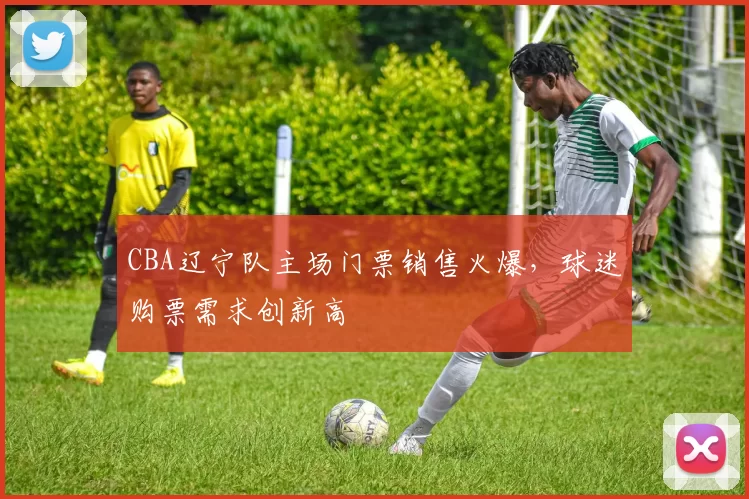 CBA辽宁队主场门票销售火爆，球迷购票需求创新高