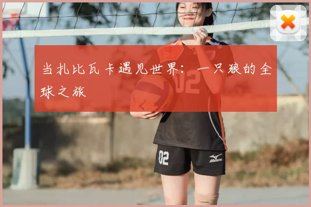 当扎比瓦卡遇见世界：一只狼的全球之旅