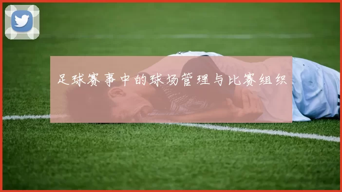 足球赛事中的球场管理与比赛组织