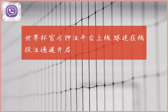 世界杯官方押注平台上线 球迷在线投注通道开启