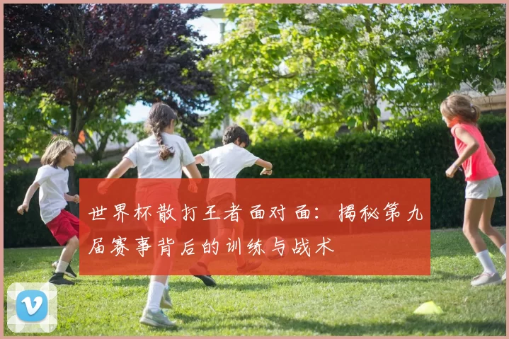 世界杯散打王者面对面:揭秘第九届赛事背后的训练与战术