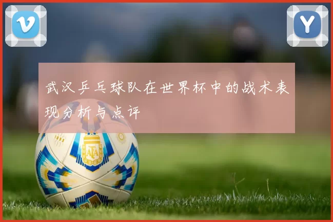 武汉乒乓球队在世界杯中的战术表现分析与点评